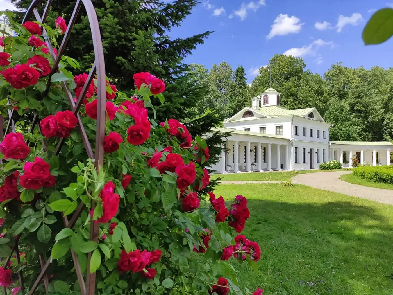 Мы предлагаем