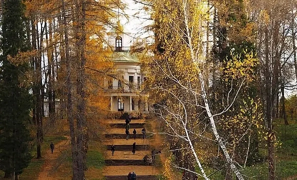 Фотогеничная среда